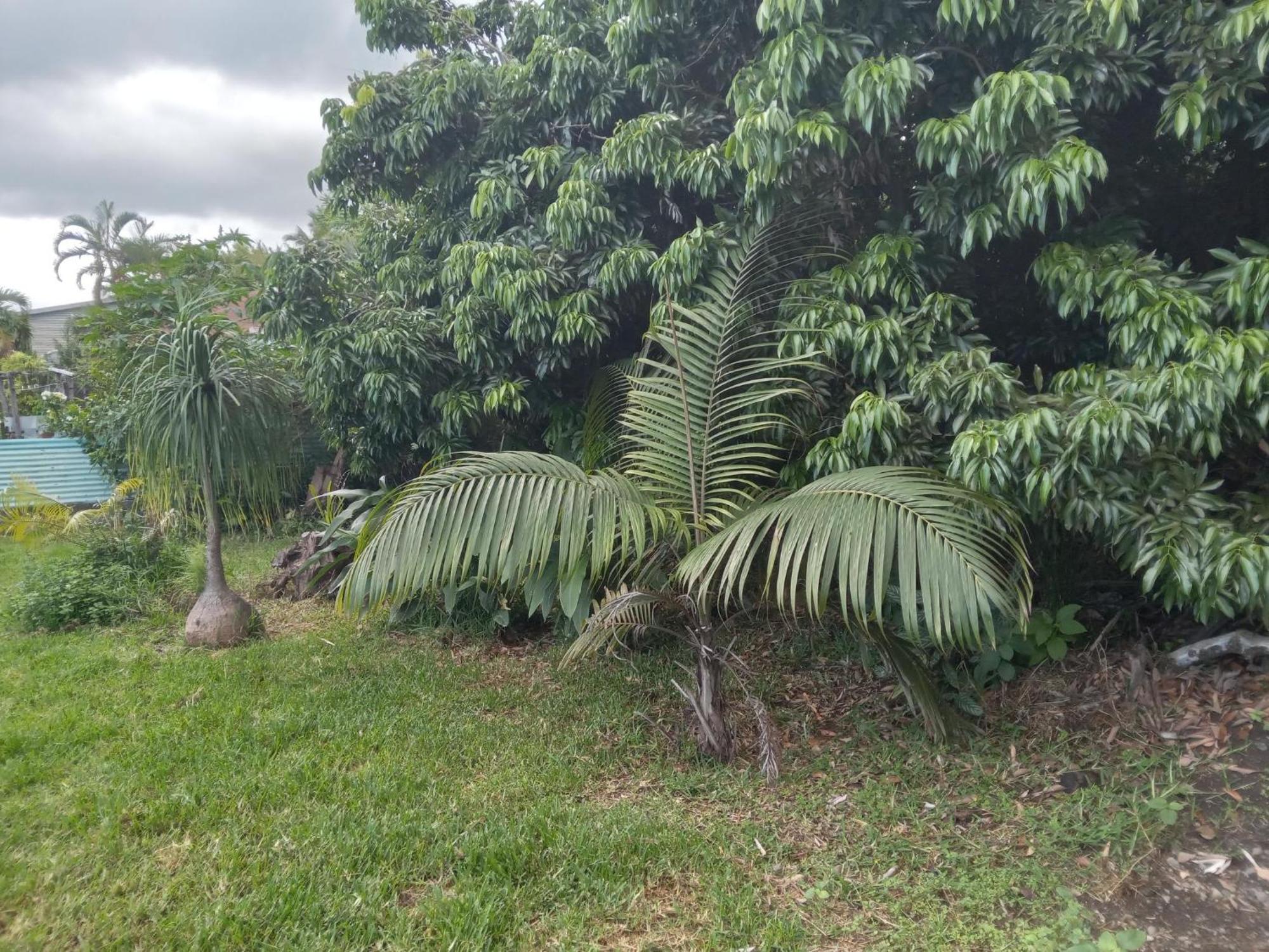 Vila Le Jardin Saint-Leu Exteriér fotografie